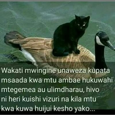 HapaKaziTu6's profile picture. Intimacy, Passion and Commitment