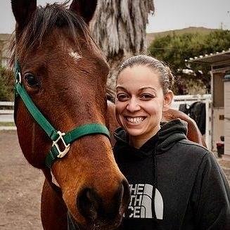 We are a non-profit that makes recycled, reusable tote bags out of animal feed/grain bags. Profits benefit local horse rescue organizations. https://t.co/oe57amMXXj