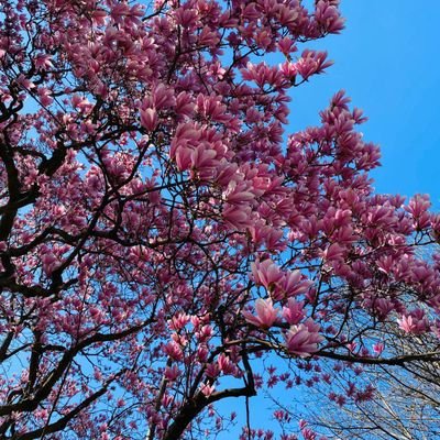 angc1130's profile picture. 