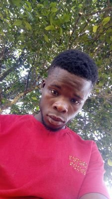 Akinola66782149's profile picture. 