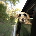 Tom Cruze - @TomMouse0112 - Twitter