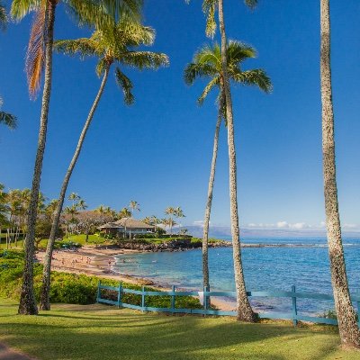 RidgeRealtyMaui Profile Picture