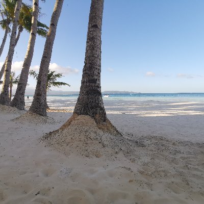 miguela50000's profile picture. 