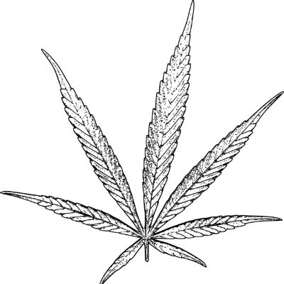 Information, perspective, products, services, & support for cannabis.