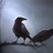 BansheeAgf's profile image