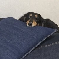 波平0820 (@hideiwa0820) 's Twitter Profile