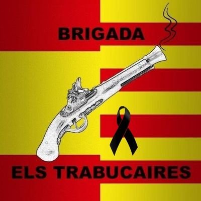 Brigada de limpieza Els Trabucaires nace con la misión de limpiar la propaganda política de los espacios publicos de una forma pacífica y civica