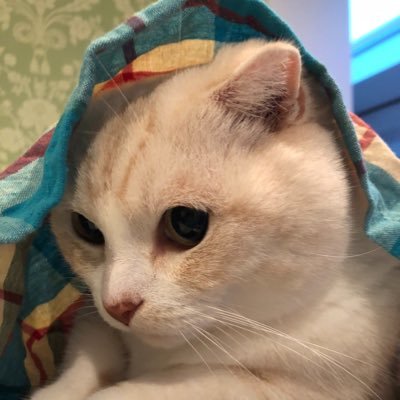 shunichi35's profile picture. FIRE目指してコツコツ