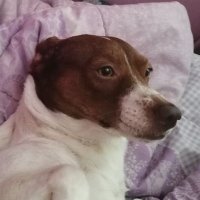 Aleix (@aleix46302688) 's Twitter Profile