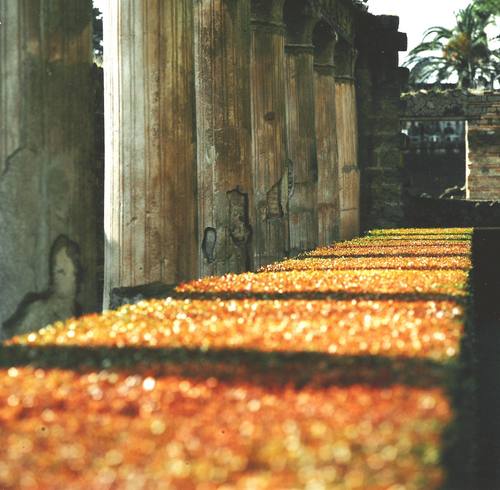 Jerrycrooks's profile picture. Photographer,dreamer,avid reader and creative writer.Tweets on news,music,fun stuff. A true blue Aussie