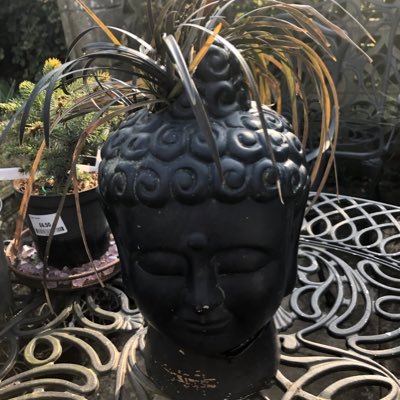 Karin53949133's profile picture. hello