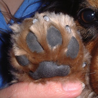 レディオスさんのプロフィール画像