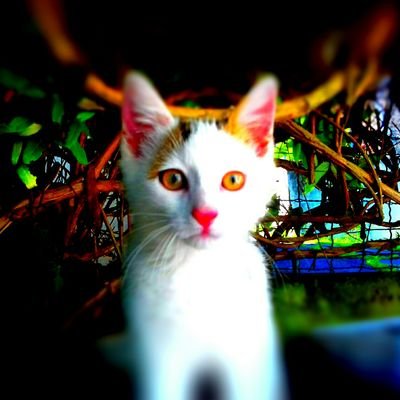 Contraction de Hopitu-shinumu
« le peuple de la paix » 🫶
Les tweets n'engagent pas que mon chat 🙀
Bloqué par Naulleau ✌️