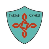 Tarian Cymru (@tariancymru) 's Twitter Profile