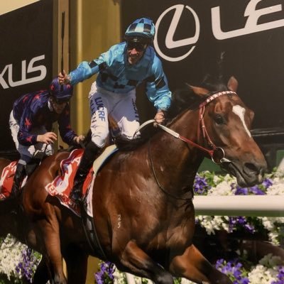 28Joffa28's profile picture. Thoroughbred Owner and Horse Racing enthusiast, Carlton tragic,Sports lover and massive 80's and 90's music fan... oh and a secret reality TV watcher (sorry)!!!