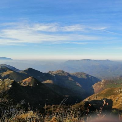 Milamada1's profile picture. El sentido común, el menos común de los sentidos!!🤦‍♀️