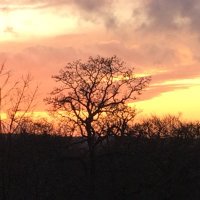 andy (@drandyjackson) 's Twitter Profile