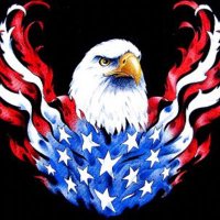 Let Freedom Ring 🇺🇸(@GirlFreedom) 's Twitter Profile Photo