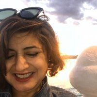 Nasima Patel (@nasimapatel3) 's Twitter Profile