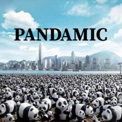 pandamic14's profile picture. 