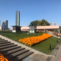 夜航船 (@kevin_bissau) 's Twitter Profile