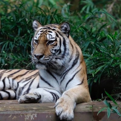 エスタバさんのプロフィール画像