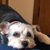 sheri (@sheri08823010) Twitter profile photo sheri (@sheri08823010) Twitter profile photo