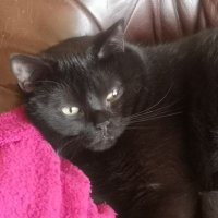 spapirat (@spapirat) 's Twitter Profile Photo