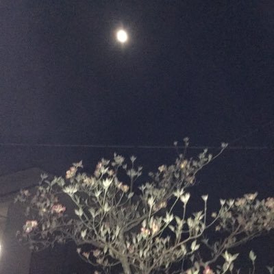 jiko99978495's profile picture. 40代半ば過ぎ ツイッター使い方を勉強中 無言フォロー失礼します　興味あることはなんでも。