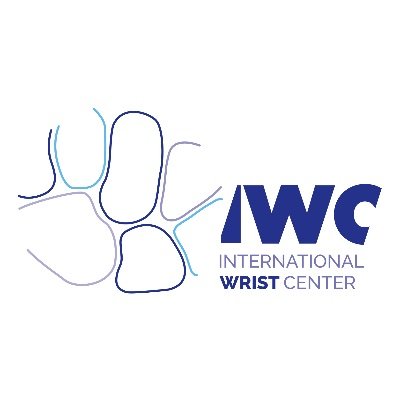 International Wrist Center