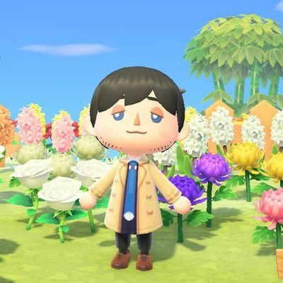 세르さんのプロフィール画像