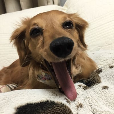 97rec1liTNsjBIr's profile picture. 