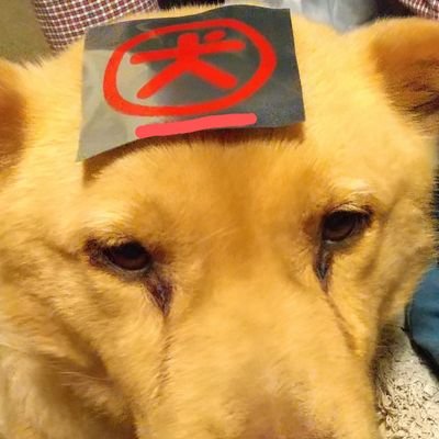 JohnGaku Profile Picture