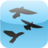 FlockOfBirds