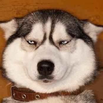 bavinh245's profile picture. 