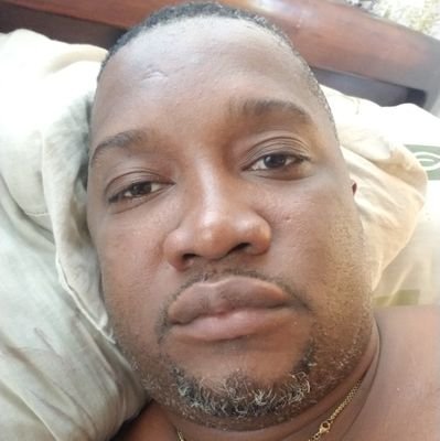 livistonmena's profile picture. 