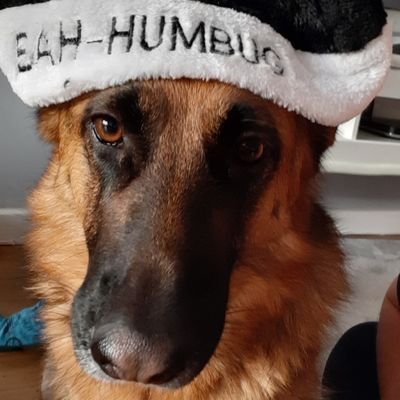 PaulEmery10's profile picture. Brentford fan & Music lover!
Seller of dreams aka photocopiers!