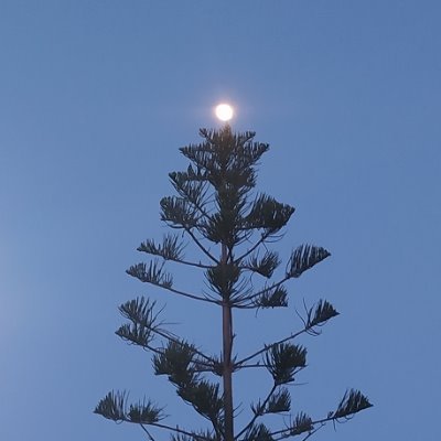 Ciudada77446594's profile picture. Debate y razones, toda las necesarias. Si vas a soltar espuma por la boca, a rebuznar o a decir que soy un troll, mejor que me olvides y a otra cosa ...