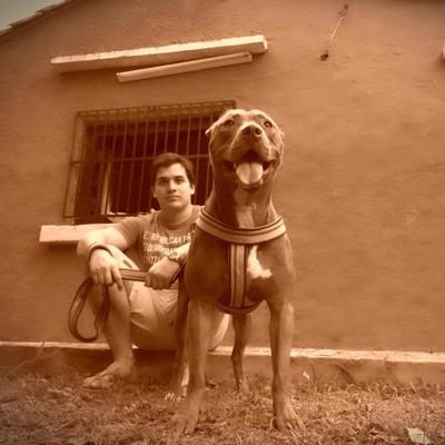 Moledax's profile picture.