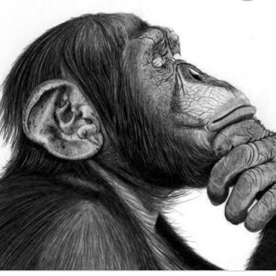 TweetingKoshur's profile picture. Curious about everything.