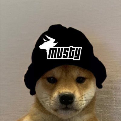 MustyandF's profile picture. hello I am dumb and I’m not actually named joe