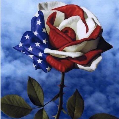 AmarokNoir's profile picture. 