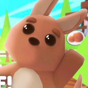dailyadoptme's profile picture. POSTING DAILY ADOPT ME UPDATES/ IDEAS! If you have any questions feel free to dm me, also if any of the news is wrong don't hesitate to dm me!