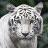 naoya3986's profile image