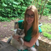 Thea Curley Fogarty (@thea_rd) 's Twitter Profile