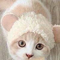 znjHgFdhjRcF Profile Picture