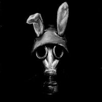 Link Ver Arsivist (@arsivodasi) Twitter profile photo