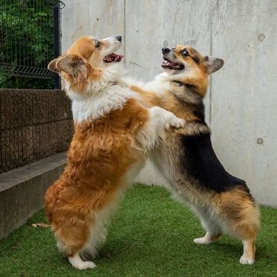 meee7x's profile picture. 