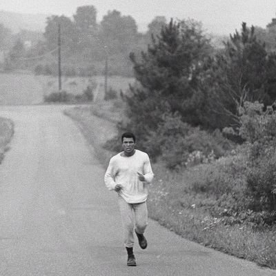 GideonDadzie3's profile picture. |Data Analyst/Scientist||Writer||Electrical Engineer||Mentor| Young_gifted_black.....#teamgreatness #mulanation#edupactonline