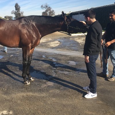 jwolke91's profile picture. horse racing / Chicago sports / sushi / Pizza